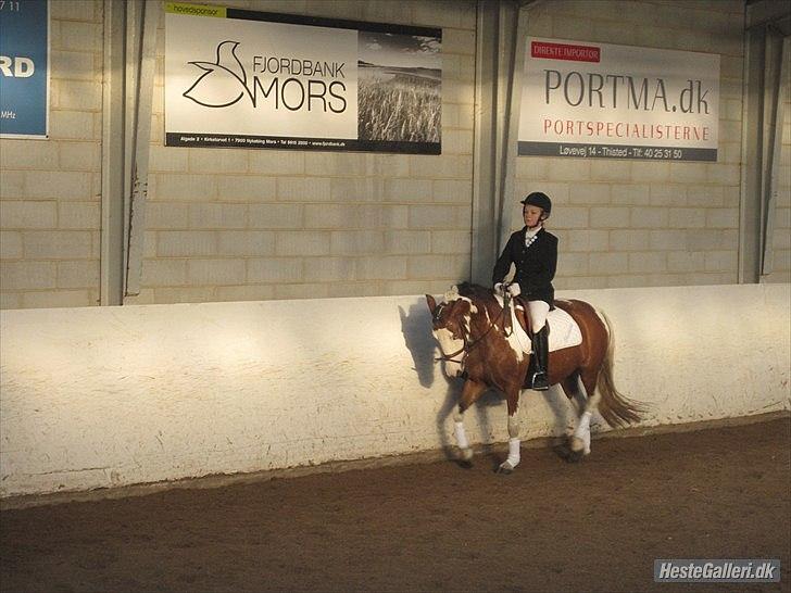 Pinto Diamond<3. - Du så skøøøn<3. billede 10