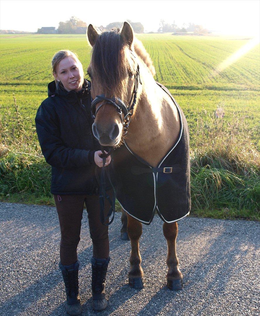 Anden særlig race Lukas billede 10