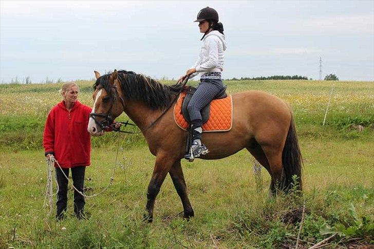 Anden særlig race Søndervangs Leopold (har heddet Sofus) - Pernille, Kris og Leopoold 
Den store fremvisning 13. juli 2011 billede 6