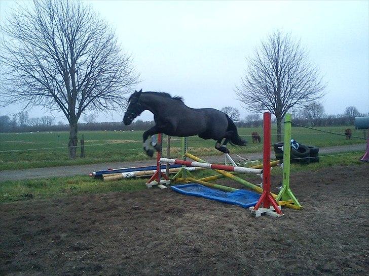 Traver Ikaros Herve - R.I.P - Traver kan sq også sagsen hoppe :D Se selv  billede 10