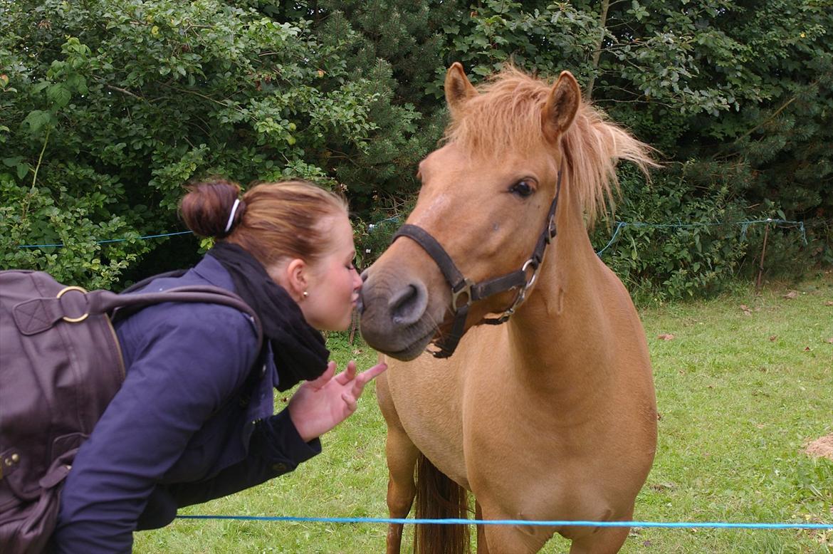 Anden særlig race Freja billede 4