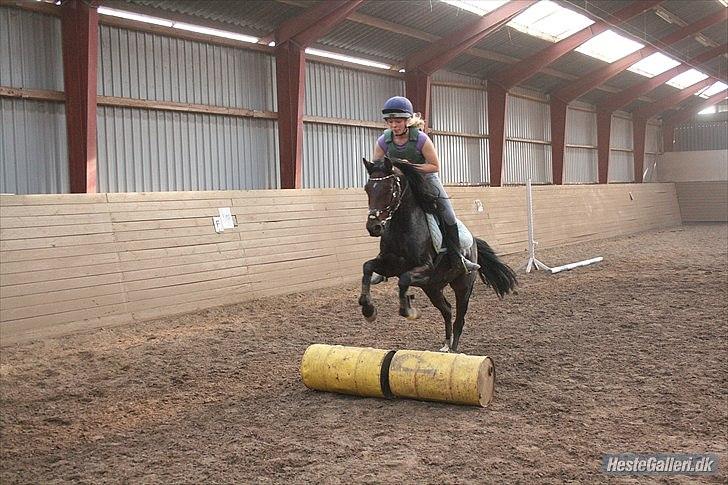 Connemara Loftsome Equinox billede 16