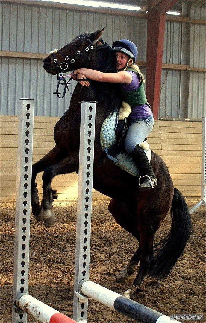 Connemara Loftsome Equinox billede 17