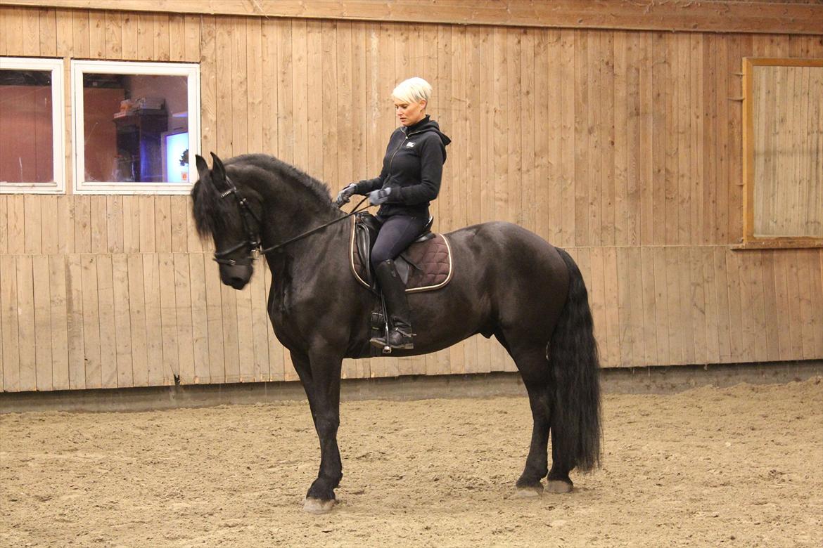 Frieser Ids - Min smukke dreng:o) billede 1