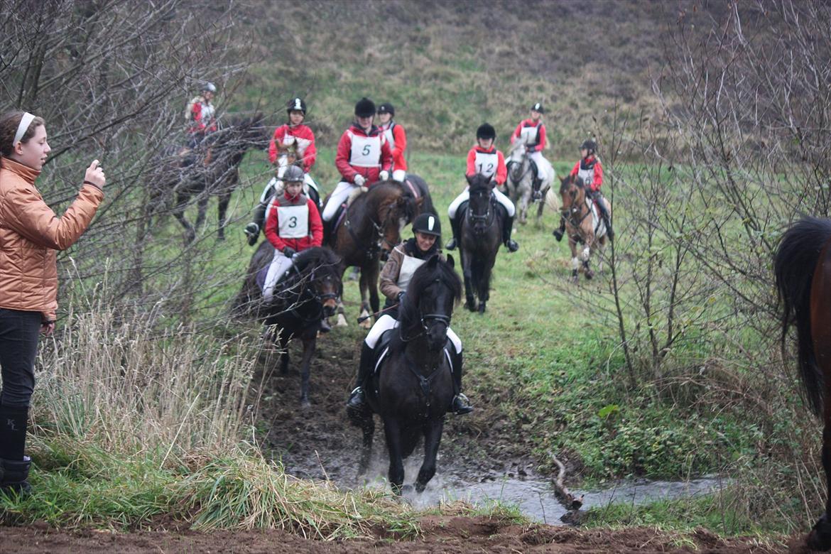 Frieser Ids - Dygtig dreng!!!! billede 8