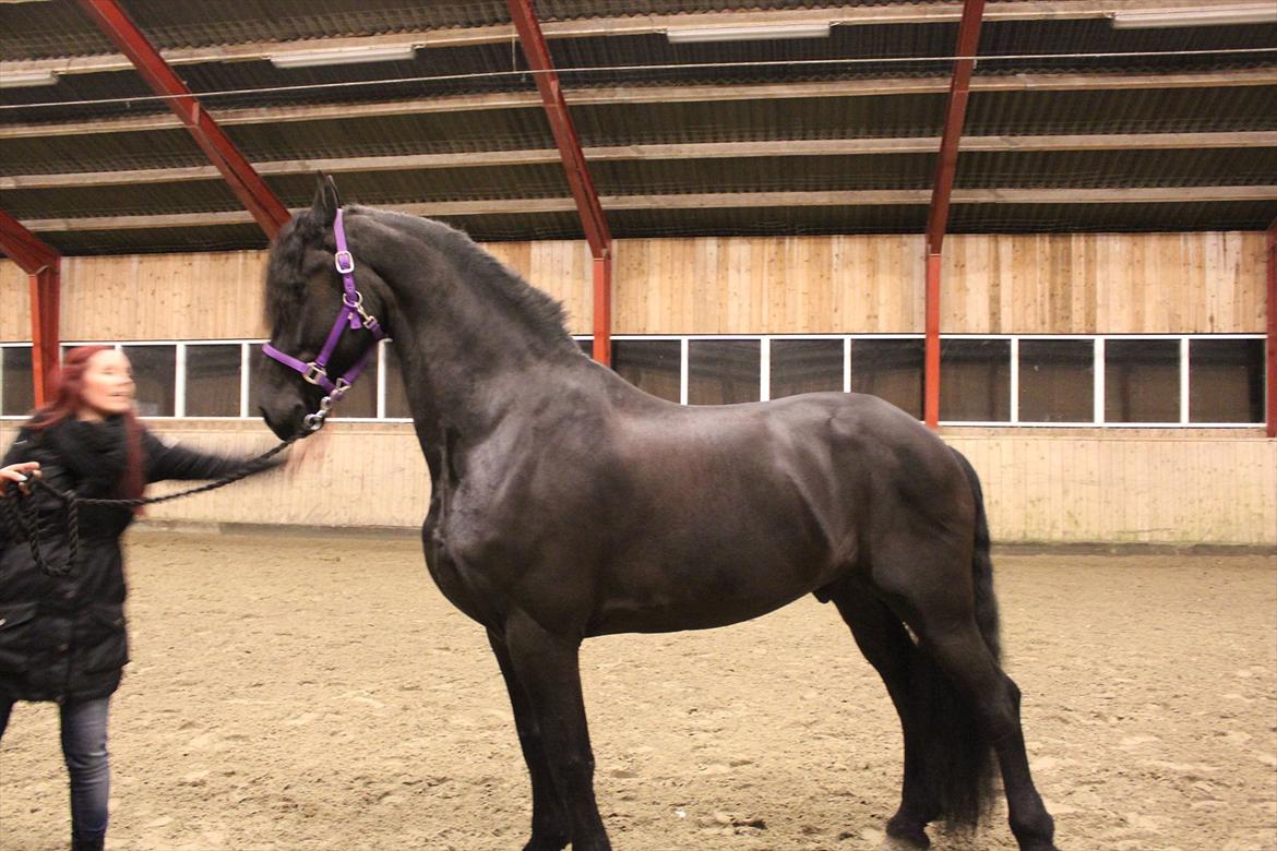 Frieser Ids - :o) billede 11