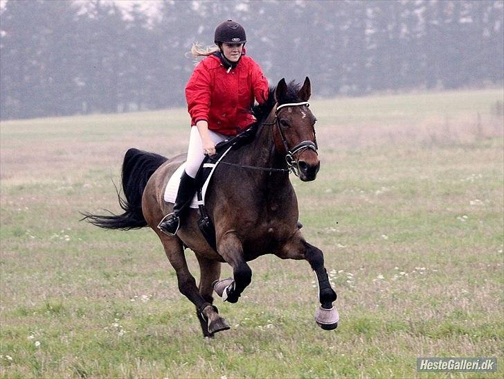 Oldenborg Dúche <3 - OPLØØØØB :D 2. plads billede 5