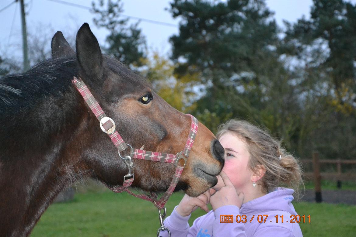 Pinto Mørkbak's Keswich *Den bedste* (': - Der er mange ting i livet, som vil fange dine øjne, men kun få, som vil fange dit hjerte. ♥ billede 1