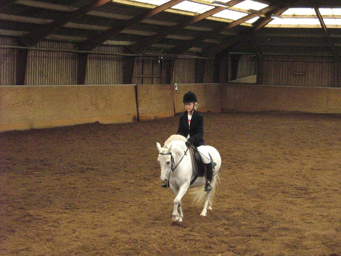 Anden særlig race Sofus - Det første stævne sammen. billede 11