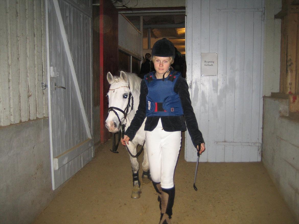 Anden særlig race Sofus - Til et stævne på RVF billede 14