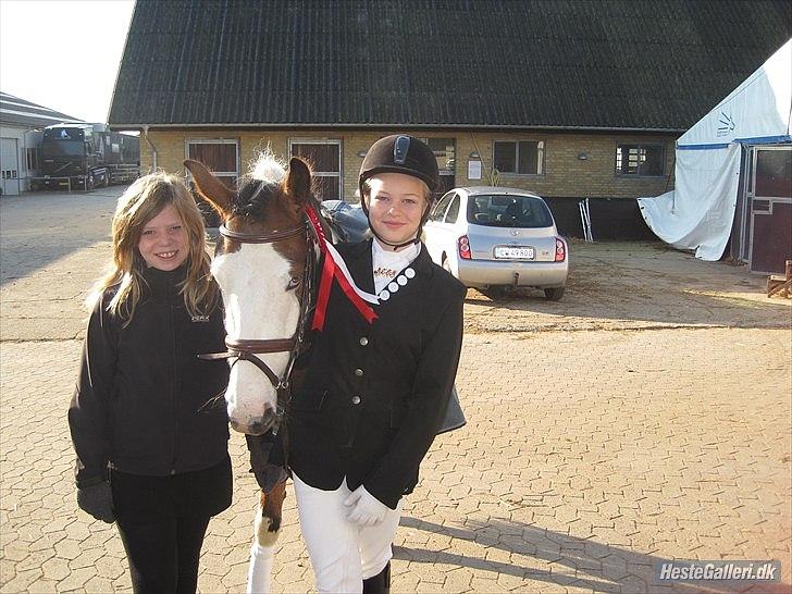 Pinto Diamond<3. - ejeren amanda og jeg:-]. billede 12