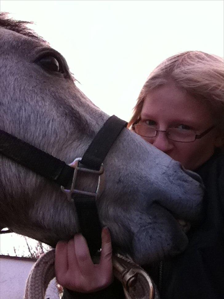 Connemara Casir   billede 12