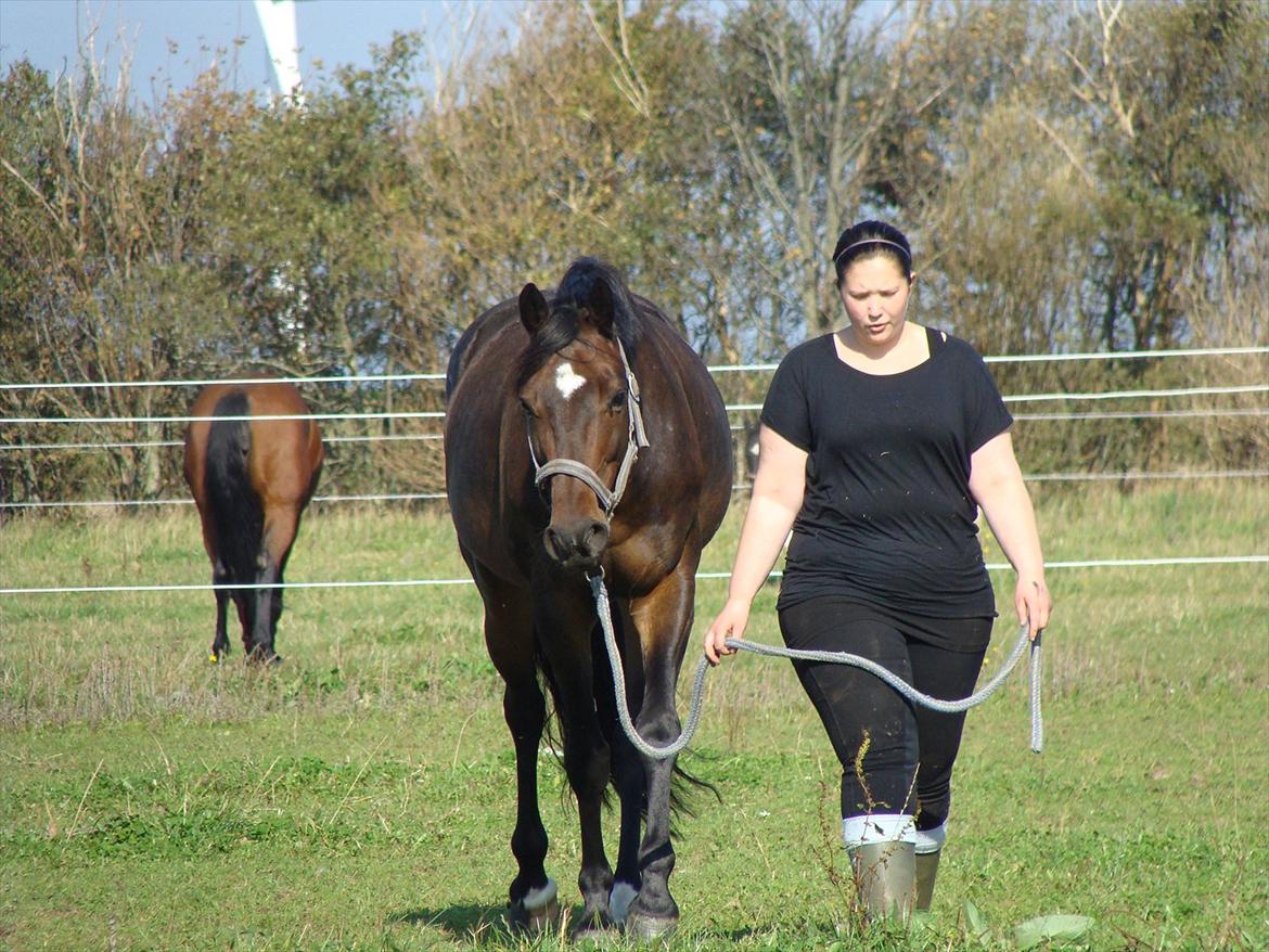 Anden særlig race Chili in action *Miss you boy* - 19 - Chili og mig <3 billede 19