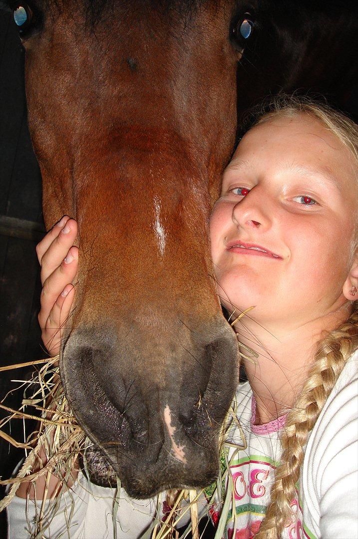 New Forest Langmarksgaards Nancerré - Velkommen til Skildpadde Is egen profil:D billede 1