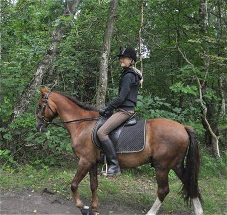 Anden særlig race Samson billede 5