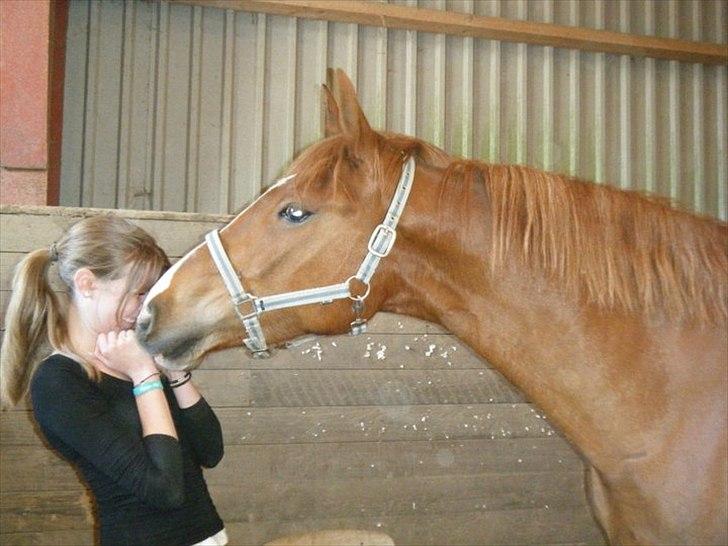 Frederiksborg Chica - GADETØSEN! <3 - Livet handler ikke om at finde en man kan lave med, men om at finde en man ikke kan leve uden <3
Tøsen, jeg kan ikke uden dig !
Begyndelsen på vores eventyr, stadig med lang man ;-)
Foto: Lisa <3  billede 4
