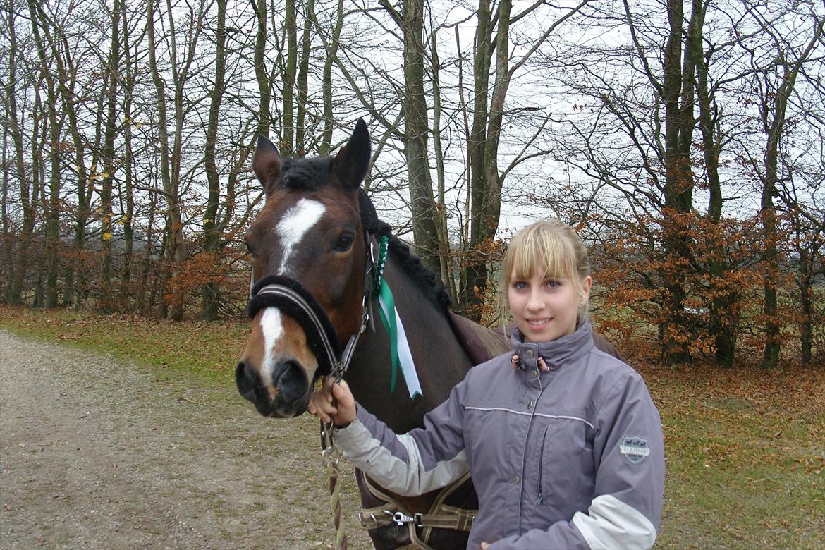 Hollandsk Sportspony Isabella Af Mindet - Efter C-stævne i SRKS <3 billede 8