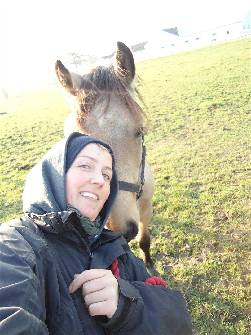 Anden særlig race Harbygaards Eddie Murphy billede 13