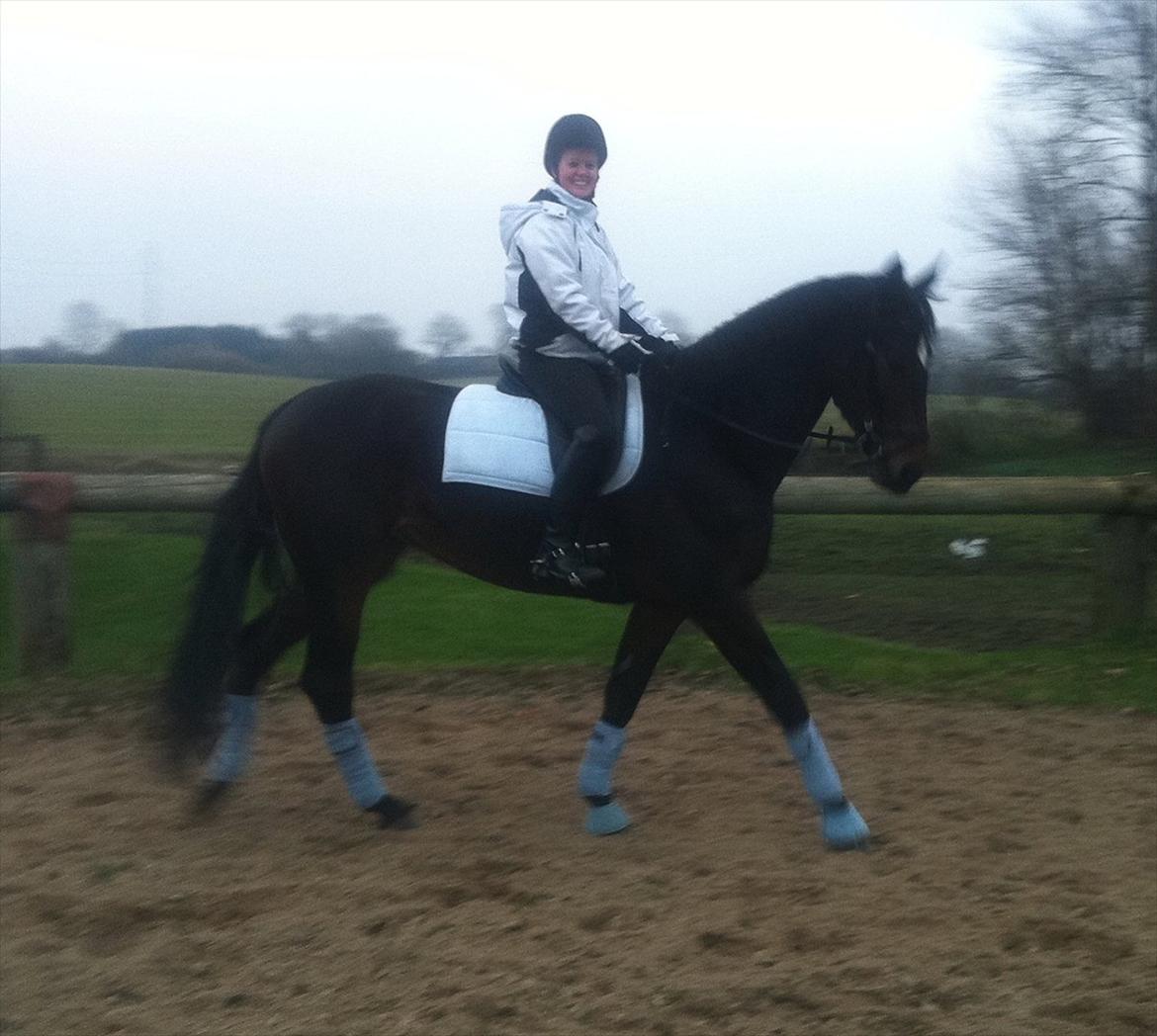 Tysk Varmblod Dolli - Min smølf :D billede 12