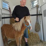 Miniature BØLLE/ BØLLE ANTON