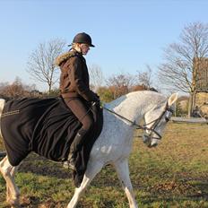 Anden særlig race Jasmin