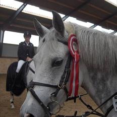 DSP Madeleine (Maddy) <3 ( Solgt) :(