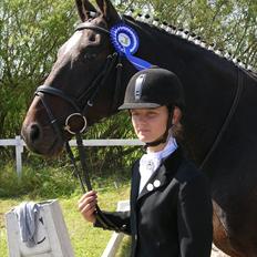 Dansk Varmblod Ti Amo De L (tidligere part)