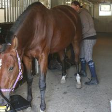 Traver Openminded (Tøsen)