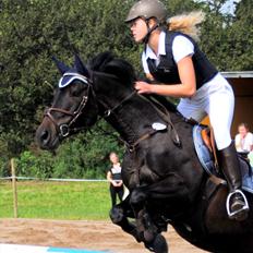 DSP Samara Spring pony