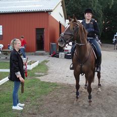 Anden særlig race Chutney