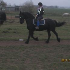 Frieser Sharmay/Flora