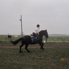 Frieser Sharmay/Flora