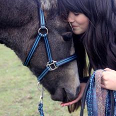 Lusitano Giselle