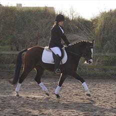 New Forest Lundgaards Friday