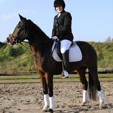 New Forest Lundgaards Friday