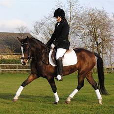 New Forest Lundgaards Friday