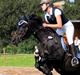 DSP Samara Spring pony