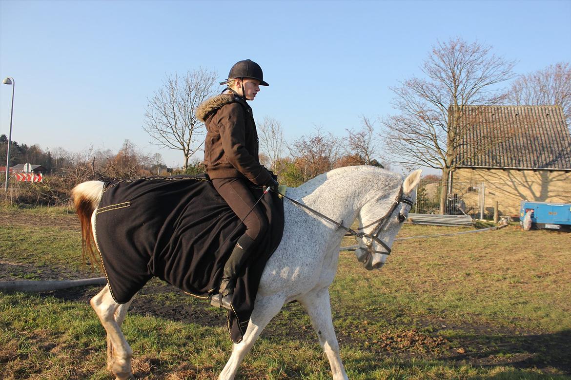 Anden særlig race Jasmin - Se hvor smukt hun kan gå! :D billede 2