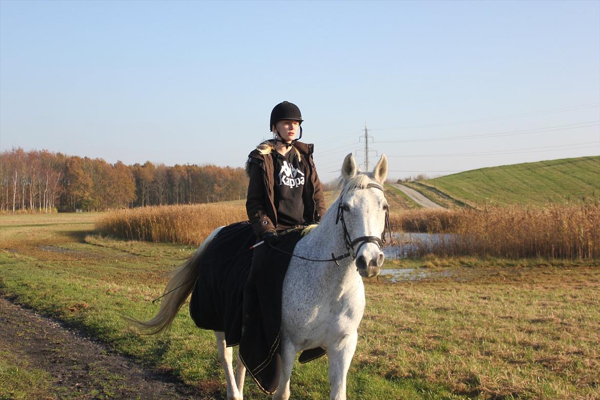 Anden særlig race Jasmin - Ude på tur. :-) billede 6