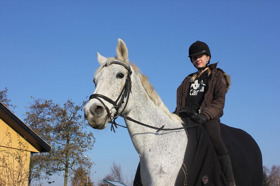 Anden særlig race Jasmin - Smukke smukke pony ;-) <3  billede 8