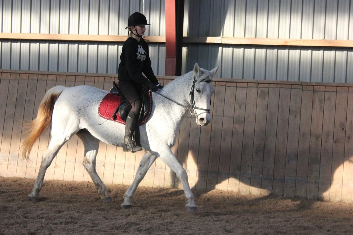 Anden særlig race Jasmin - Hvor er du dog sød putte <3  billede 11