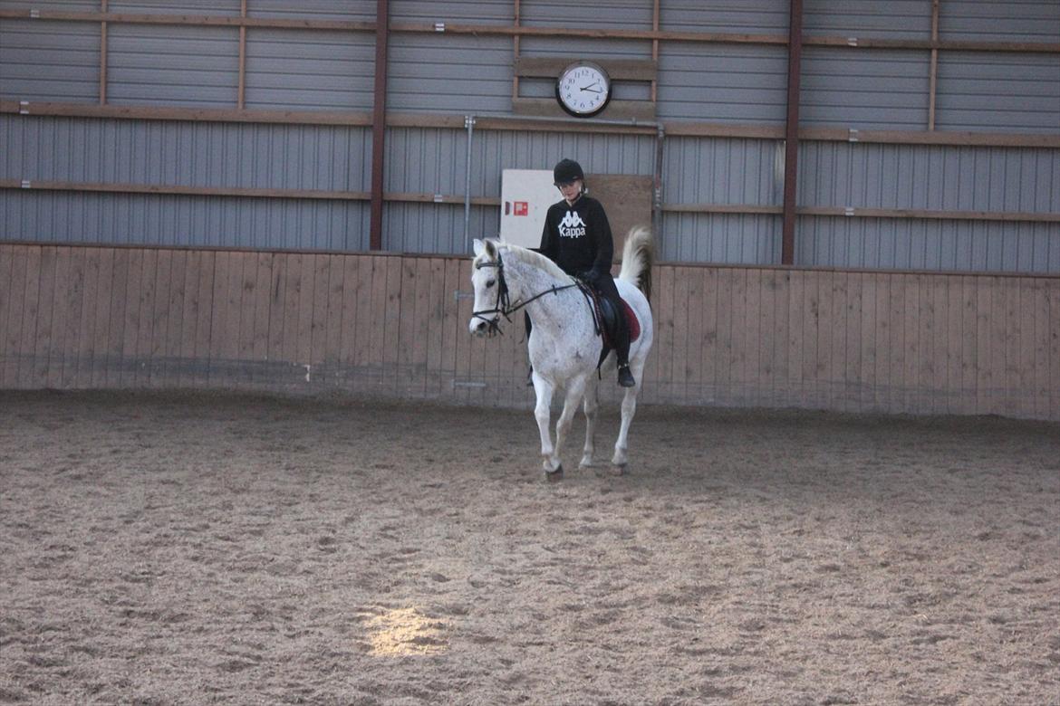 Anden særlig race Jasmin - Schenkelvigning. :-) billede 13