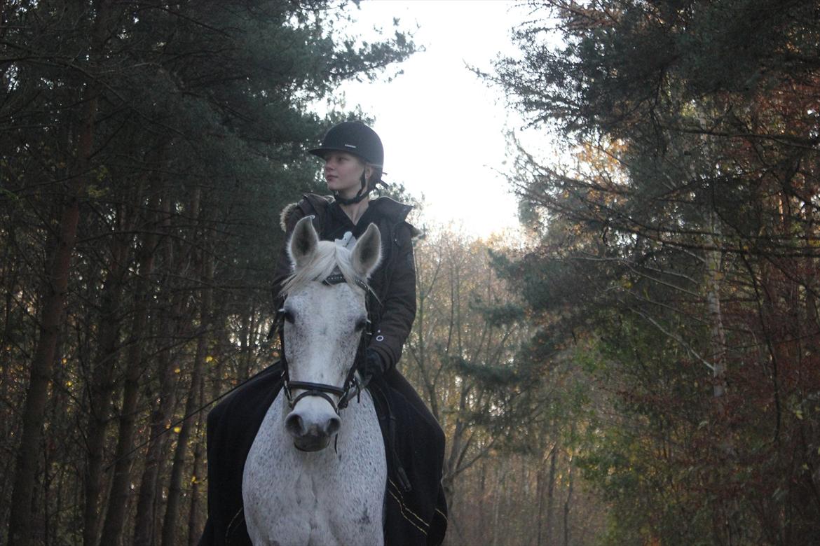 Anden særlig race Jasmin - Søde, søde Jasmin<3 billede 15