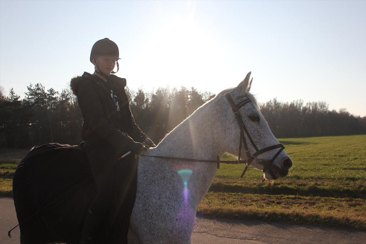Anden særlig race Jasmin - I Love U <3  billede 16