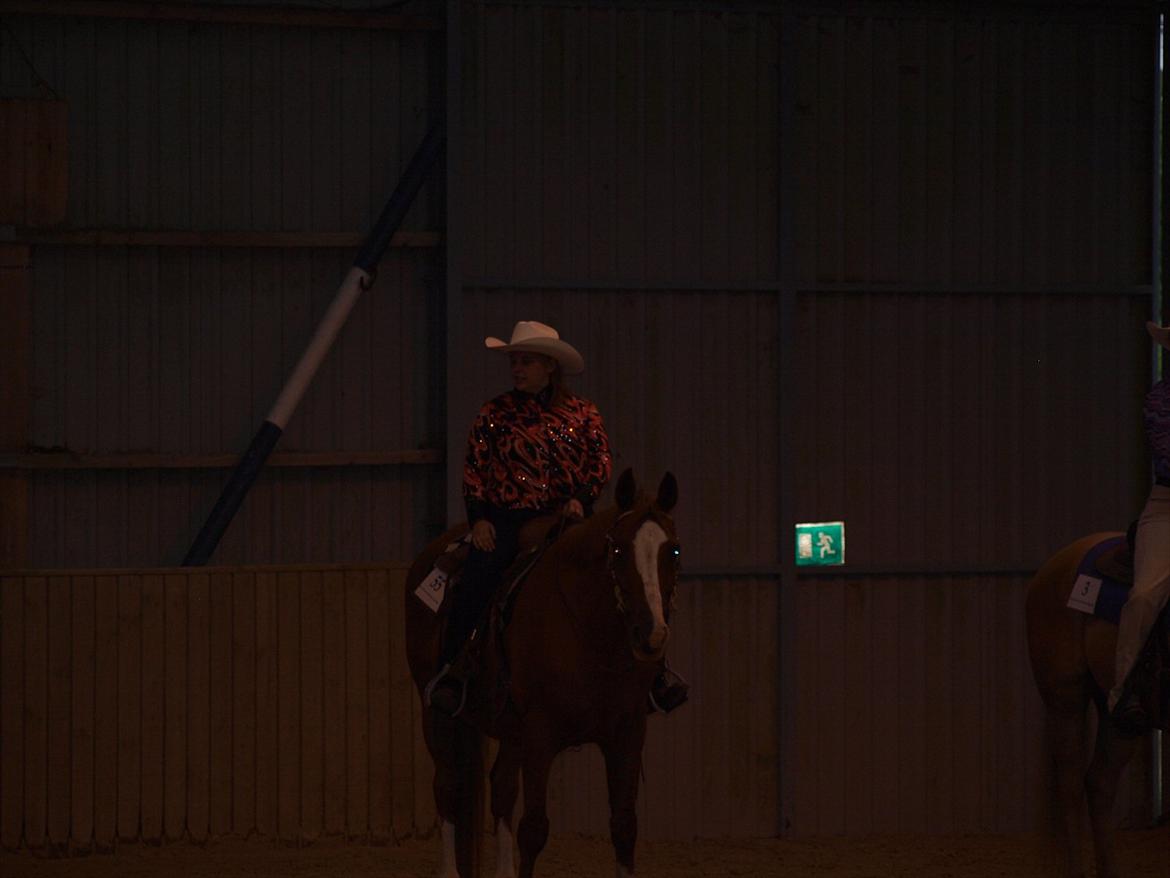 Dansk Varmblod Balou Vibeland billede 17