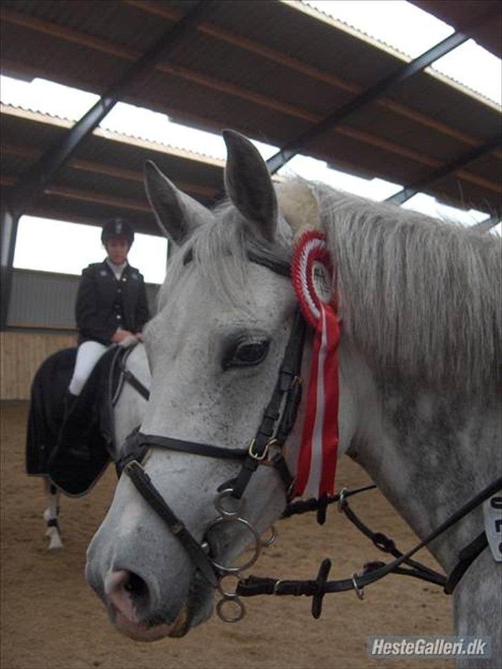 DSP Madeleine (Maddy) <3 ( Solgt) :( billede 2