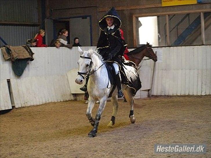 DSP Madeleine (Maddy) <3 ( Solgt) :( billede 3