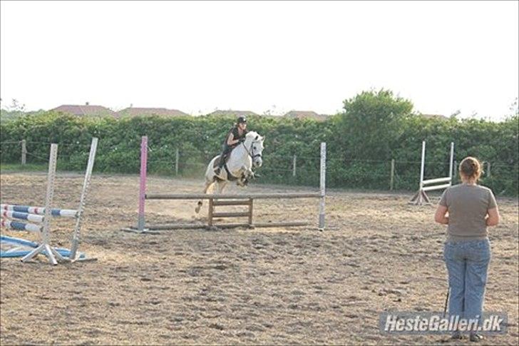 DSP Madeleine (Maddy) <3 ( Solgt) :( billede 4