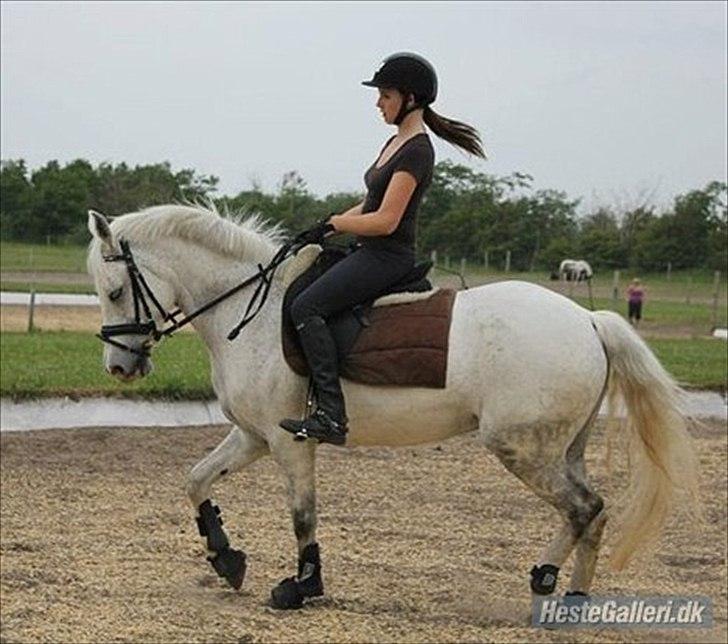 DSP Madeleine (Maddy) <3 ( Solgt) :( billede 5