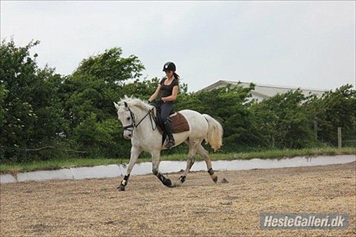 DSP Madeleine (Maddy) <3 ( Solgt) :( billede 6